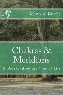 Chakras and Meridians