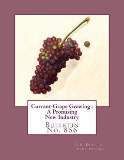 Currant-Grape Growing : a Promising New Industry