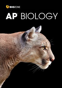 AP Biology  9781988566566 Front Cover