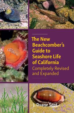 New Beachcomber's Guide to Seashore Life of California Completely Revised and Expanded  9781990776076 Front Cover