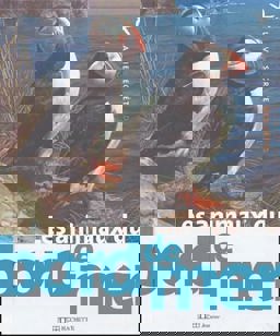 Les Animaux du Bord de Mer