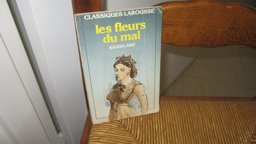 Les Fleurs du Mal