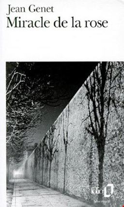 Miracle de la Rose