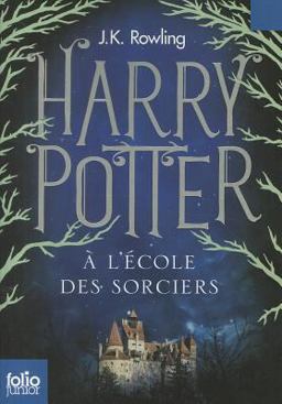 Harry Potter a l'Ecole des Sorciers