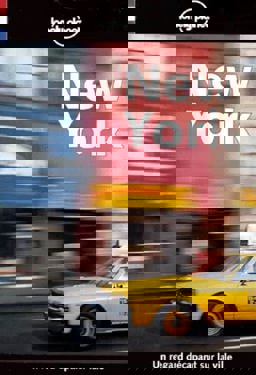 Lonely Planet New York