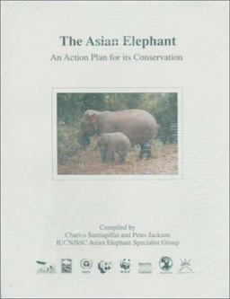 Asian Elephant