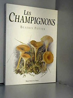 Les Champignons