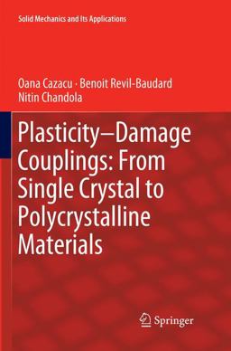 Plasticity-Damage Couplings: from Single Crystal to Polycrystalline Materials 2018 9783030065478 Front Cover