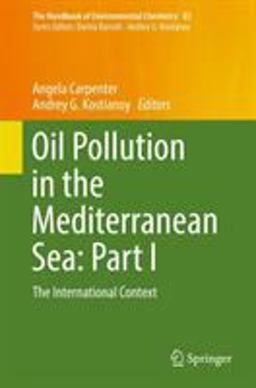 Oil Pollution in the Mediterranean Sea: Part I