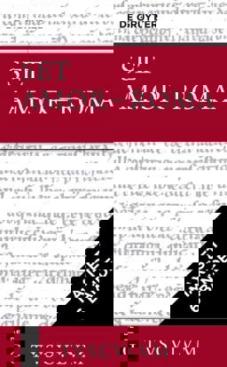 [Maxi-Set AMOR - ROMA: Liebe und Erotik Im Alten Rom]