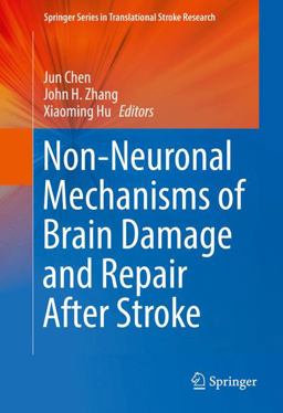 Non-Neuronal Mechanisms of Brain Damage and Repair after Stroke