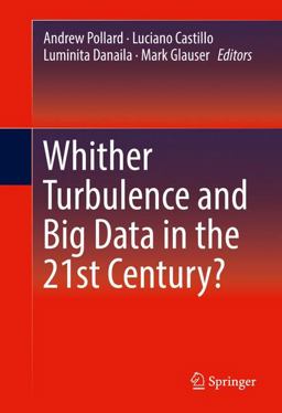 Whither Turbulence and Big Data in the 21st Century? Whither Turbulence and Big Data in the 21st Century?