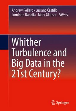 Whither Turbulence and Big Data in the 21st Century? Whither Turbulence and Big Data in the 21st Century?