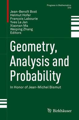 Global Analysis, Arithmetic Geometry, and Probability
