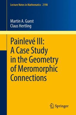 Painlevé III: a Case Study in the Geometry of Meromorphic Connections