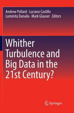 Whither Turbulence and Big Data in the 21st Century? Whither Turbulence and Big Data in the 21st Century?