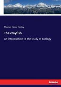 The Crayfish