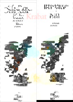 Krabat: Roman  9783423252812 Front Cover