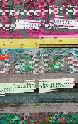 Dinge, die verschwinden  9783442740697 Front Cover