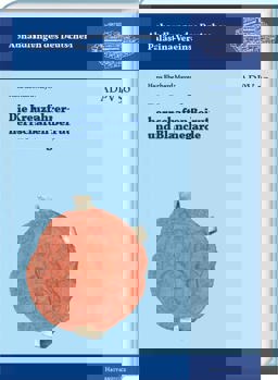 Die Kreuzfahrerherrschaften Beirut und Blanchegarde