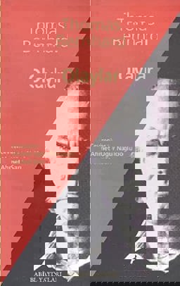 Ansichten eines Clowns