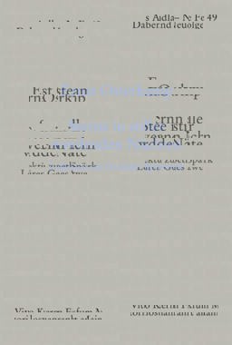 Sterne in Stiller Werdenden Nachten