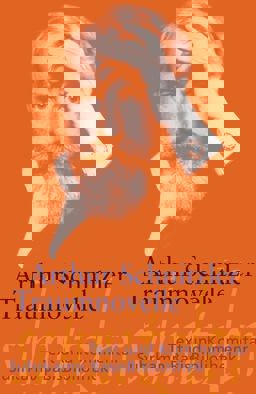 Traumnovelle (Suhrkamp BasisBibliothek)  9783518189139 Front Cover