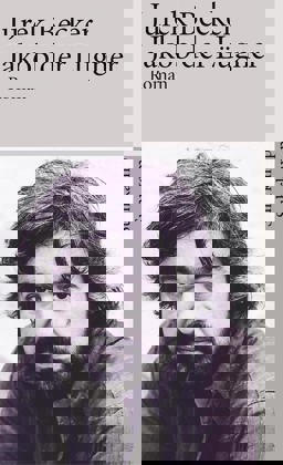 Jakob der Lugner  9783518372746 Front Cover