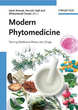 Modern Phytomedicine Turning Medicinal Plants into Drugs  9783527315307 Front Cover