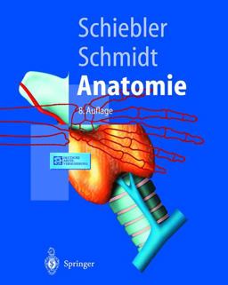 Anatomie