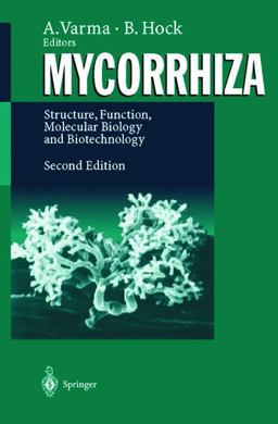 Mycorrhiza Mycorrhiza