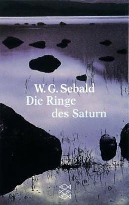 Die Ringe des Saturn