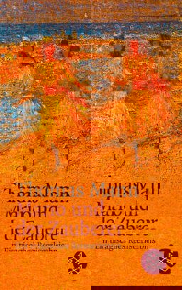 Mario Und Der Zauberer  9783596293209 Front Cover