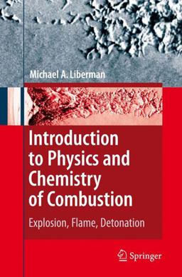 Introduction to Physics and Chemistry of Combustion Explosion, Flame, Detonation  9783642097553 Front Cover