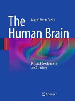 Human Brain Prenatal Development and Structure  9783642147234 Front Cover