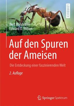 Auf Den Spuren der Ameisen
