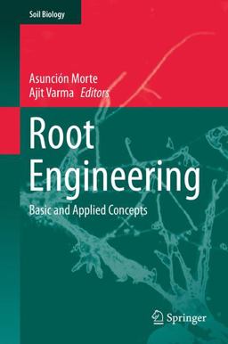 Root Engineering Root Engineering