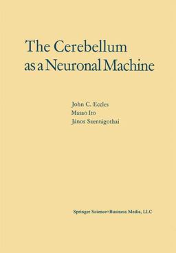 The Cerebellum As a Neuronal Machine