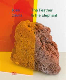Jose dávila: the Feather and the Elephant