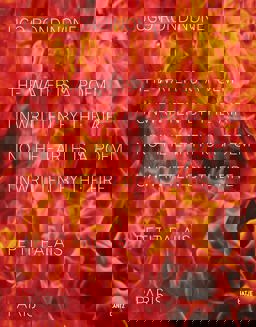 Ugo Rondinone (Bilingual Edition)