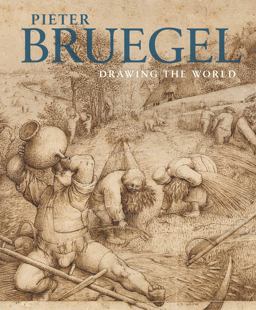 Pieter Bruegel Drawing the World  9783777428635 Front Cover