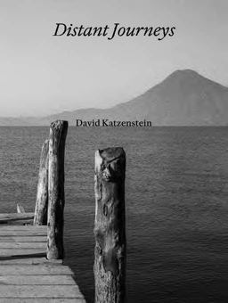N   DAVID KATZENSTEIN  9783777443683 Front Cover