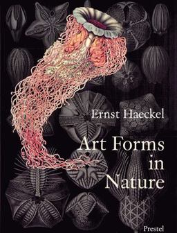 Art Forms in Nature The Prints of Ernst Haeckel  9783791319902 Front Cover