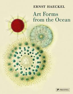 Art Forms from the Ocean The Radiolarian Prints of Ernst Haeckel  9783791333274 Front Cover