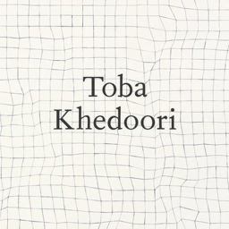Toba Khedoori  9783791355597 Front Cover