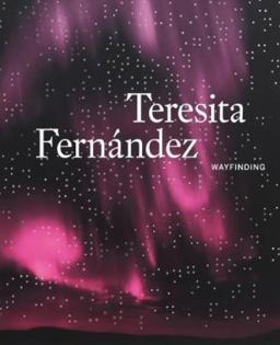 Teresita Fernï¿½ndez Wayfinding  9783791356822 Front Cover