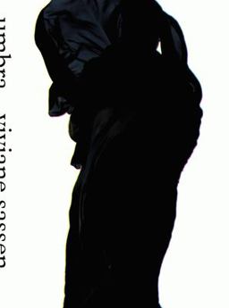 Viviane Sassen Umbra  9783791381602 Front Cover