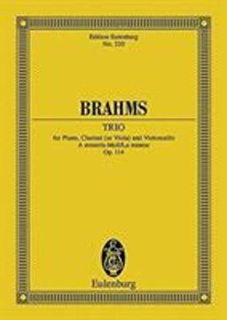 Piano Trio in a Minor, Op. 114a