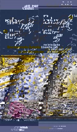 Rauhe Nächte, stille Tage: Eine bayerische Zeitreise zu den Wurzeln der Weihnacht Nov  9783797312389 Front Cover