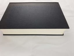 Hagen von Tronje: Ein Nibelungen-Roman  9783800022663 Front Cover